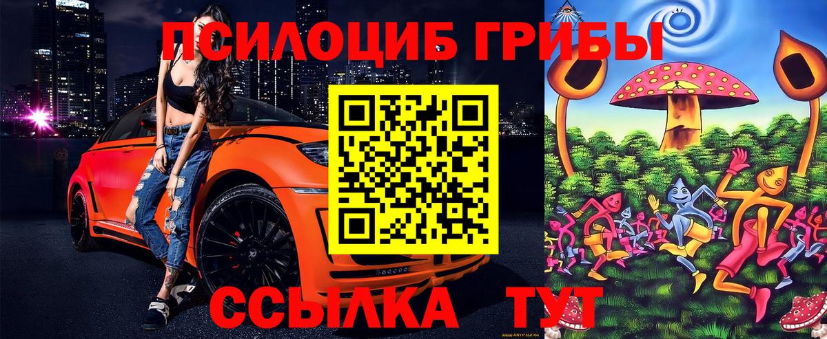 Псилоцибиновые грибы Psilocybine cubensis Дзержинск