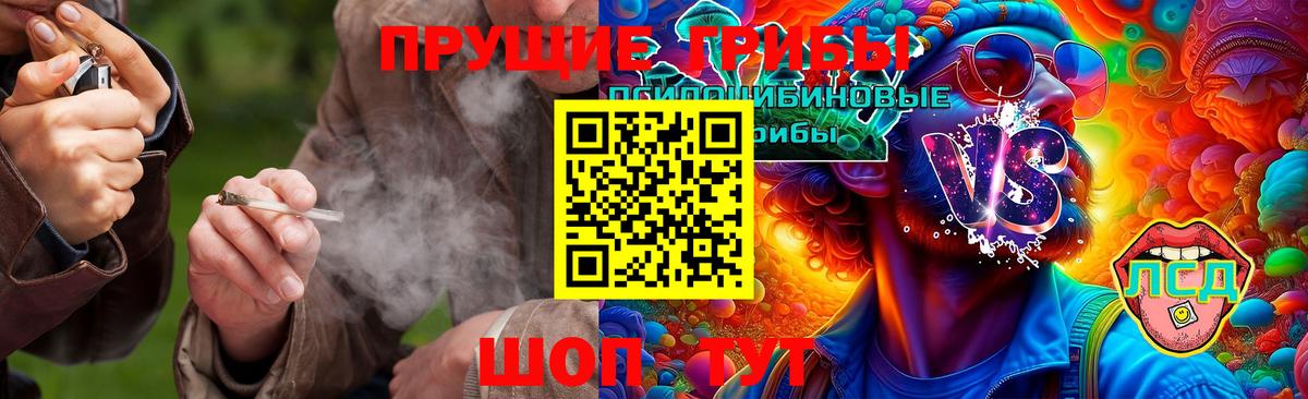 Дзержинск  Псилоцибиновые грибы GOLDEN TEACHER  Вход с VPN 